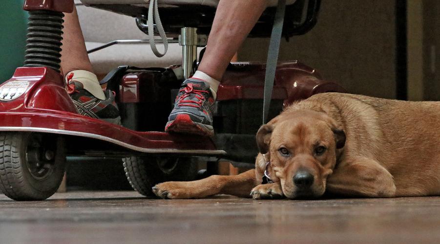 Doug Mueller and Chazz