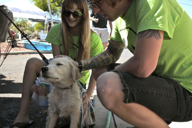 Dirty dogs get a good scrub    