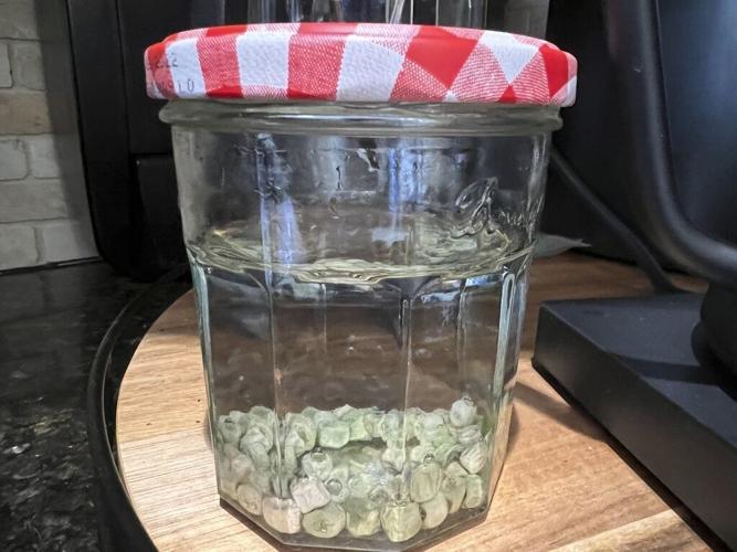 Gardening - Spring Checklist