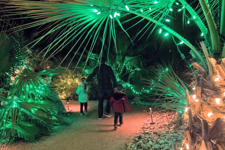 Tohono Chul Park Holiday Nights