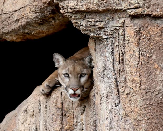 Cool Summer Nights aug. 3 (copy)