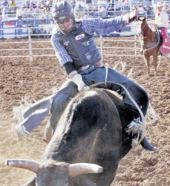 Bull riding online equipment