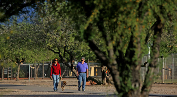 Pet adoption success