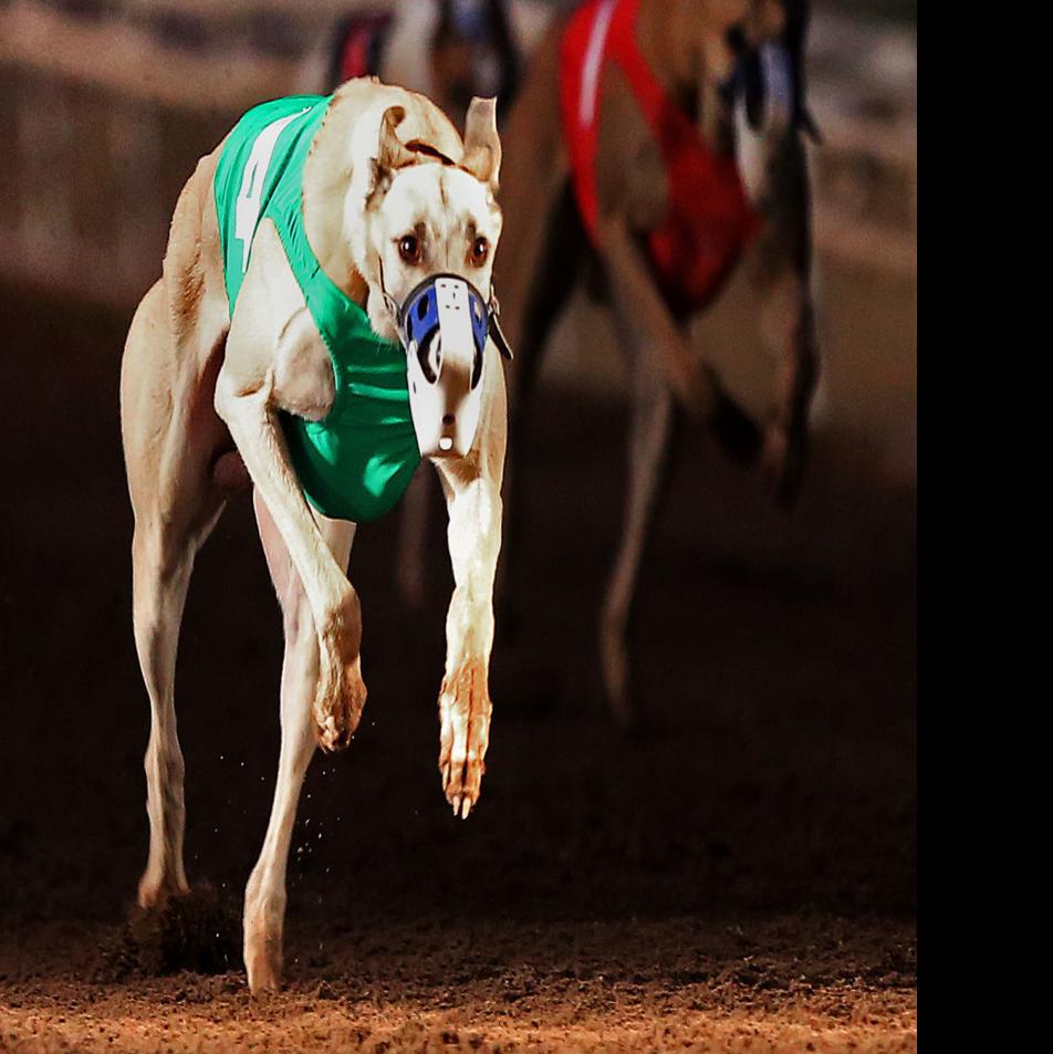 Council Rejects Off Track Betting License For Tucson Bar Local News Tucson Com