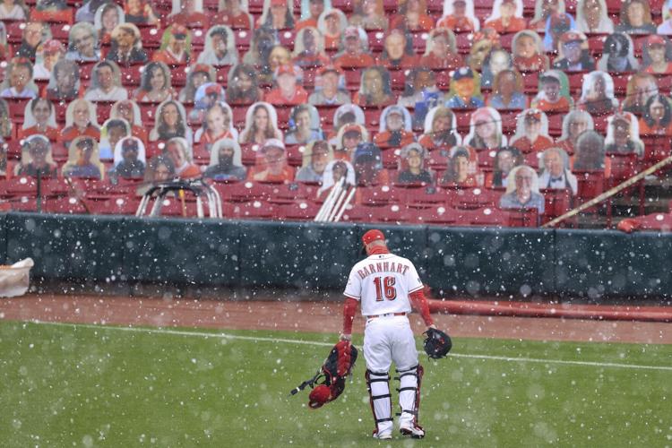 Diamondbacks Reds Baseball