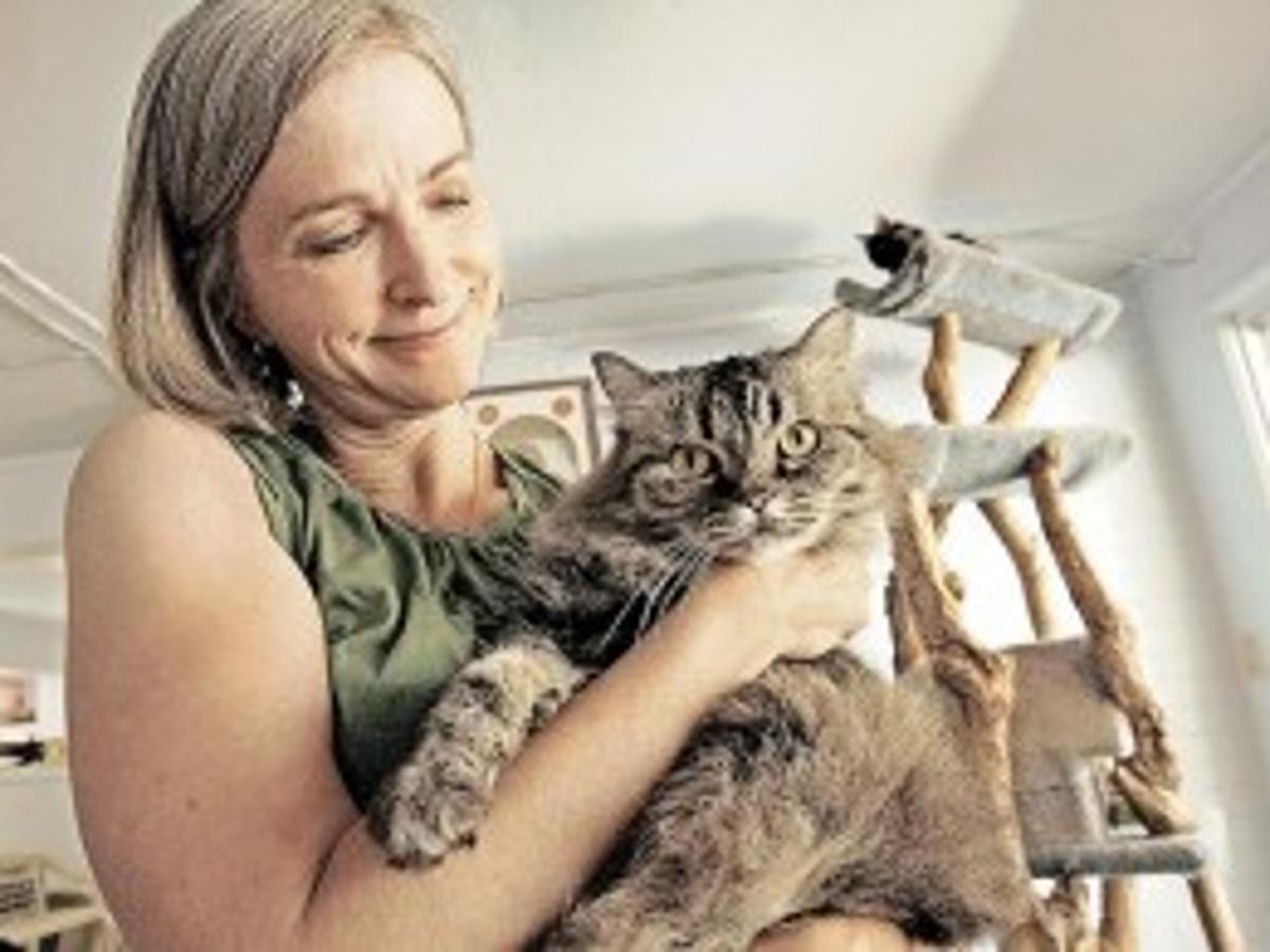 Hermitage Ex Staffers Air Gripes On Web Local News Tucson Com