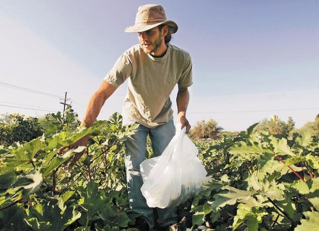 Growing appetite: Northwest-side farm can't keep up with demand for its produce  