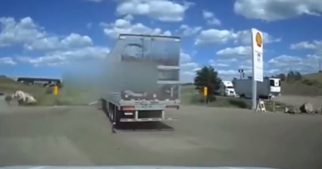 Dog on leash tied to moving semi