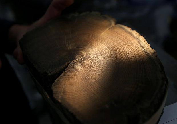 Center for Mediterranean Archeology and the Environment