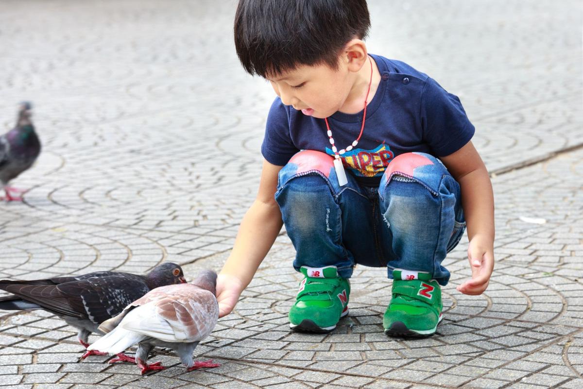 kid with pigeons