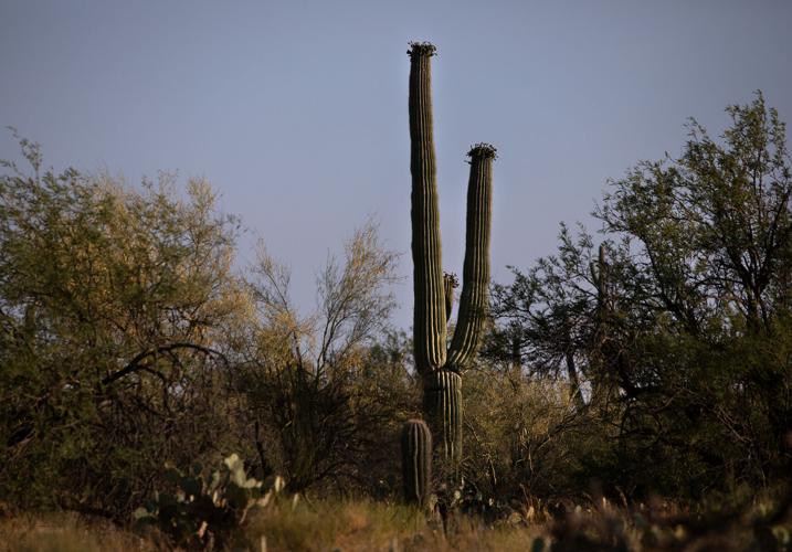 Tom Orum and Nancy Ferguson
