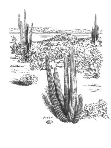 'No Species is an Island'