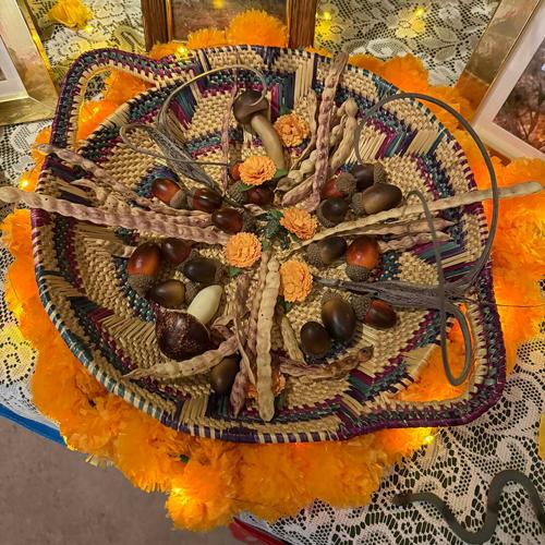 Celebrating Lost Trees at the U.S.-Mexico Border for Día de los Muertos