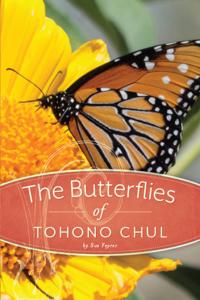 Creating a garden that attracts butterflies