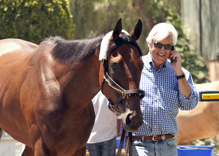 American Pharoah Returns Home Horse Racing