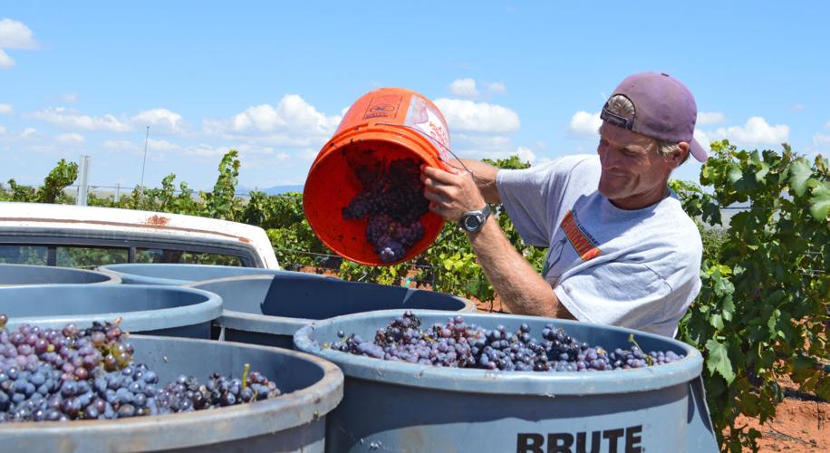 Rancho Rossa Vineyards