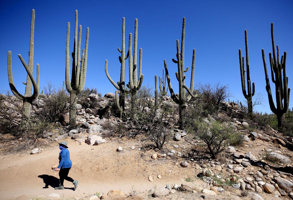 Catalina State Park