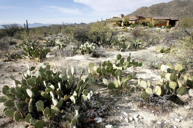 Luxury lots headed for auction   