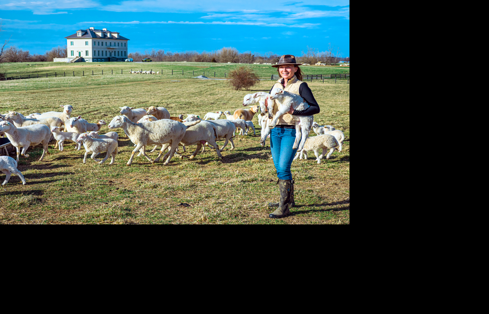 Have ewe heard the news? Lamb is making a comeback