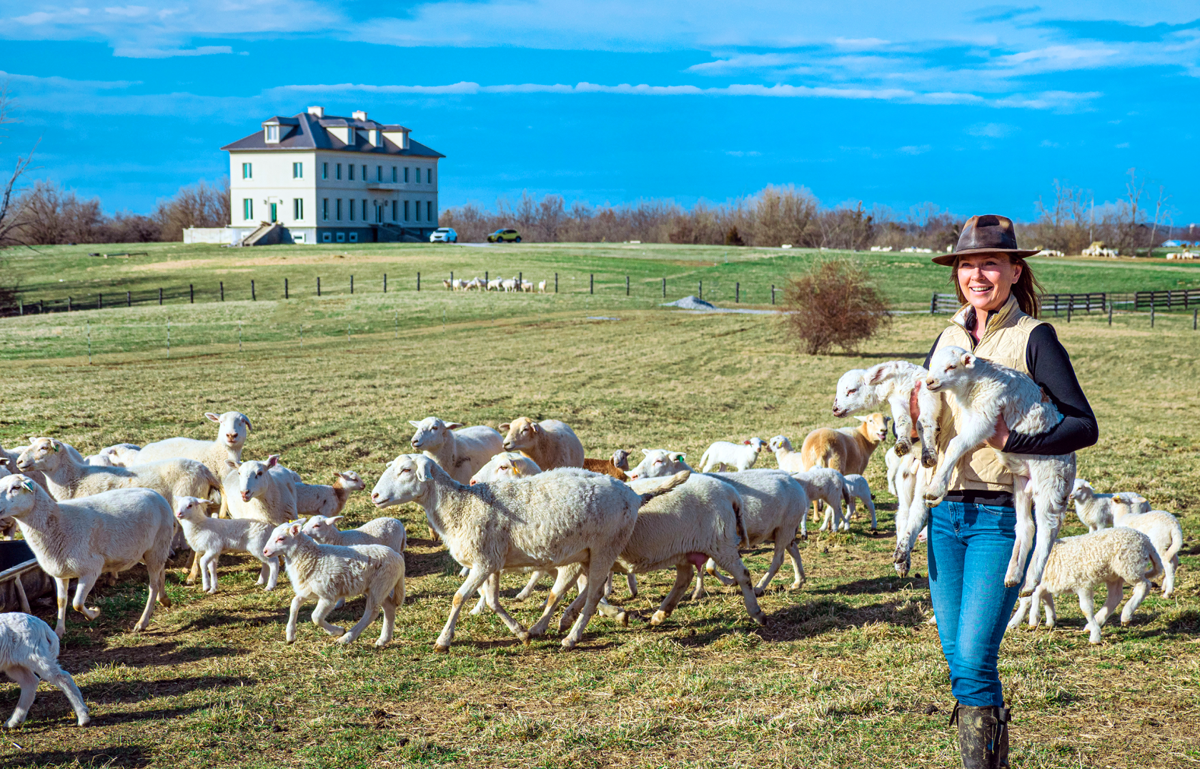 Have ewe heard the news? Lamb is making a comeback
