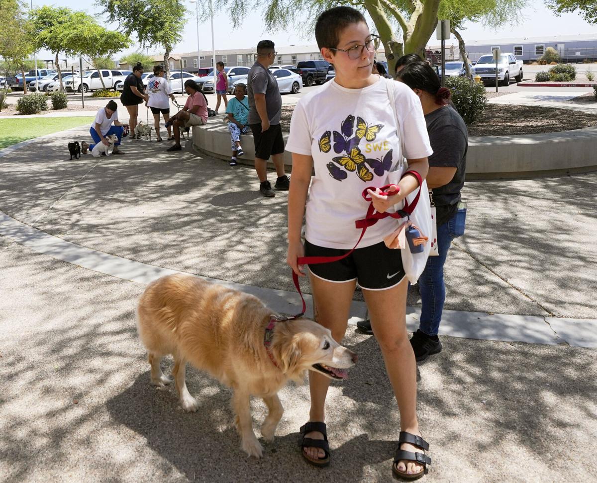 Free microchip event set prior to Fourth of July fireworks in Tucson