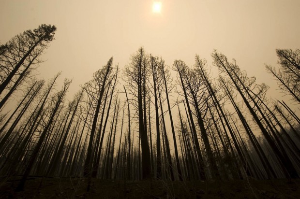 Fire now menaces NM towns   
