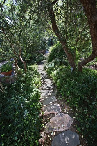 40th anniversary of Tucson Botanical Gardens