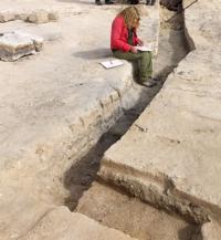 Scientists seek more proof as fossil find in New Mexico draws skepticism