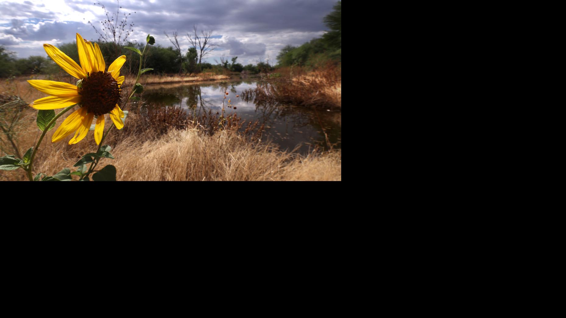 Is Tucson's 47 years' worth of groundwater enough if CAP is slashed?