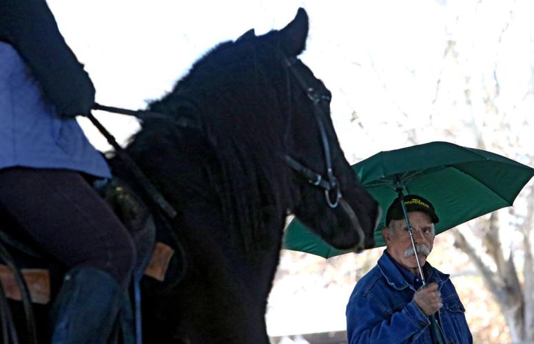 Desensitizing horses