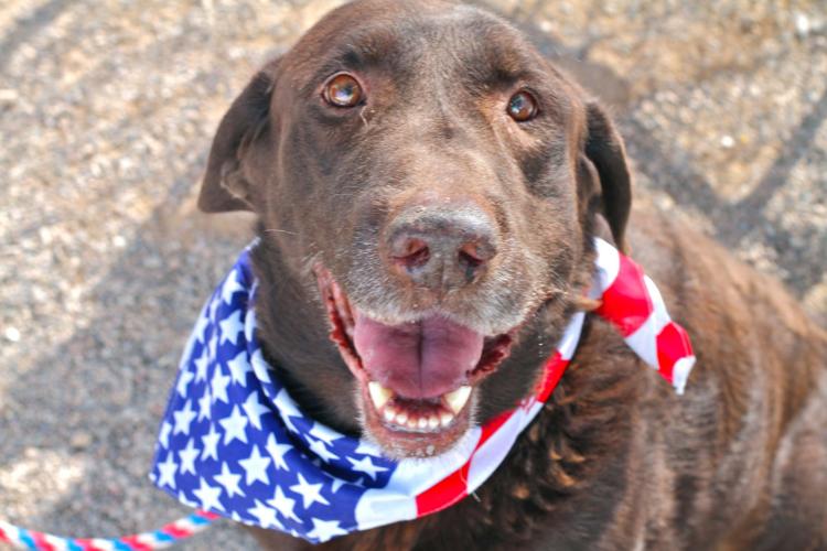 Adopt A Friend: Randy