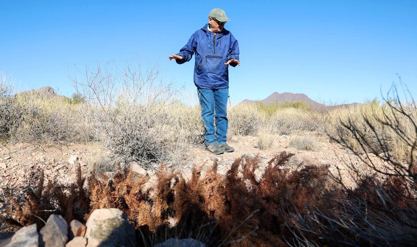 Desert restoration project
