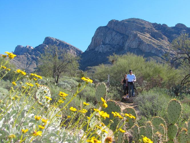 Hikers and wildflowers