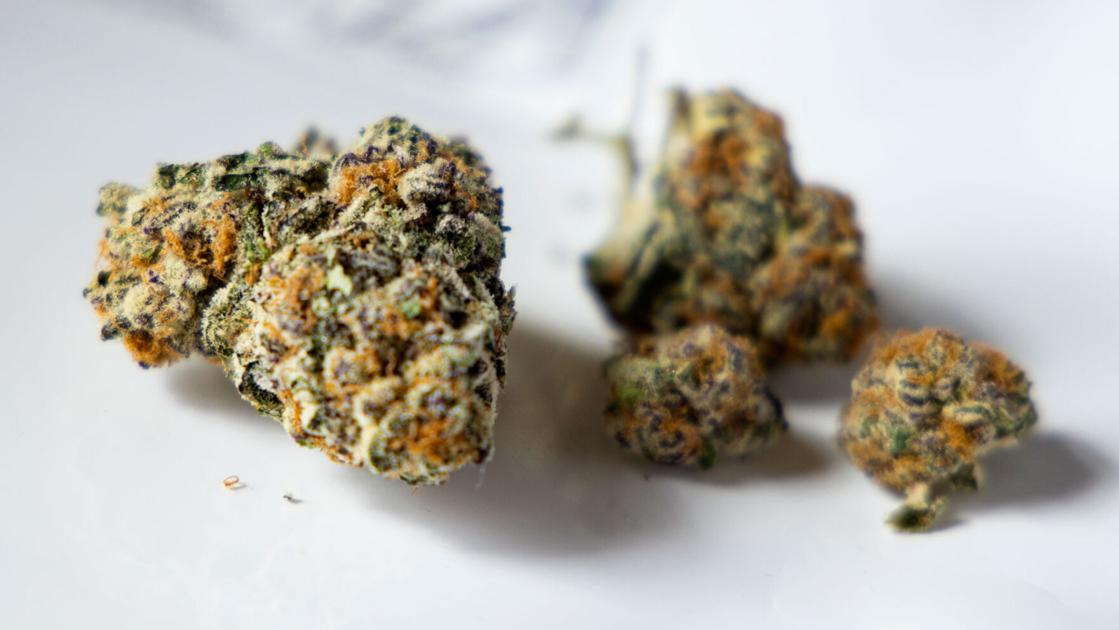 Updated weed guide: Tucson dispensaries selling recreational marijuana now that it's legal | eat | tucson.com