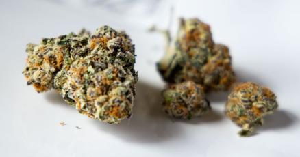 Updated weed guide: Tucson dispensaries selling recreational marijuana now that it's legal | eat | tucson.com