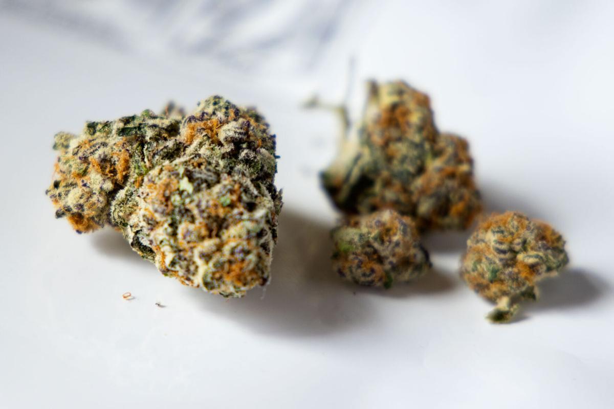 How is MVLS Doing Outreach in Our New Cannabis Expungement Program?