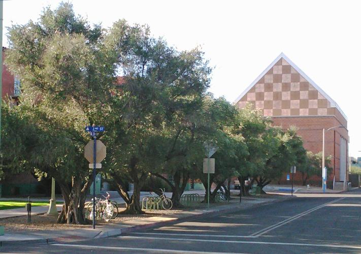 Street Smarts: Olive Road