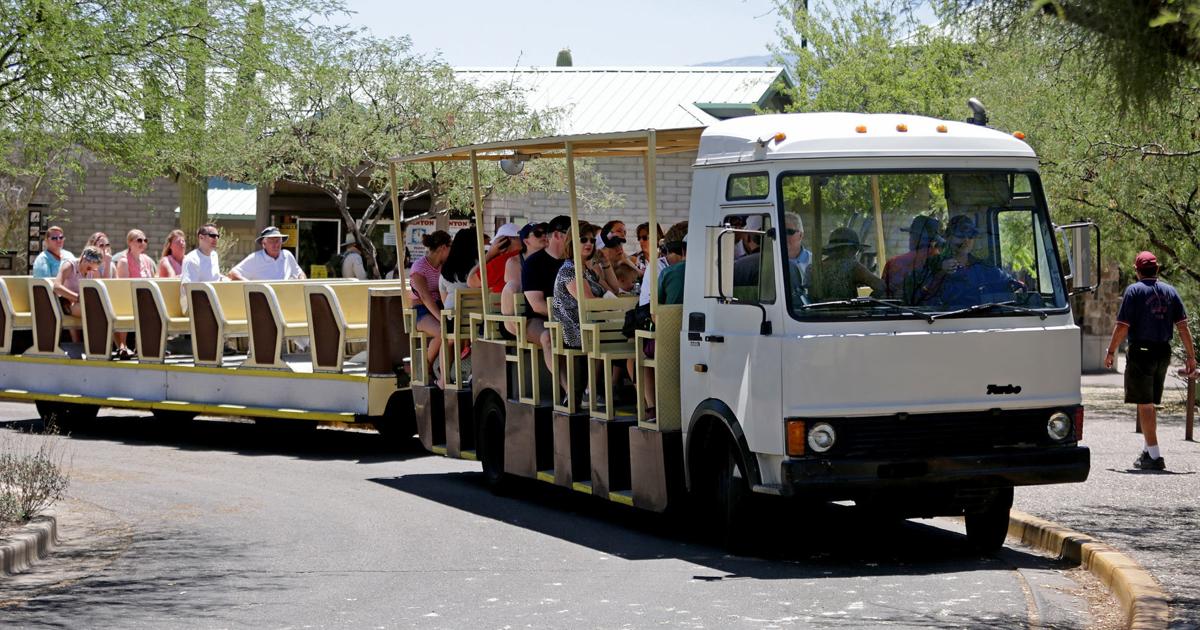 Sabino Canyon shuttle