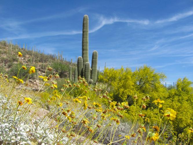 Catalina Highway color