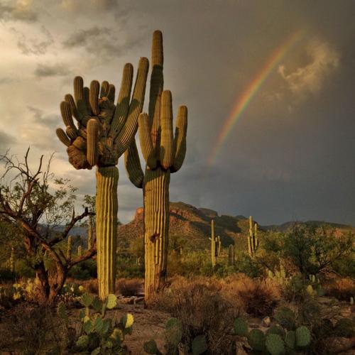 Monsoon photo contest