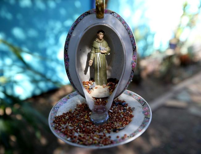 Pima County Master Gardeners