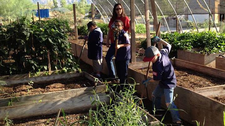 Amuse bouche ideas thanksgiving Amuse bouche ideas thanksgiving