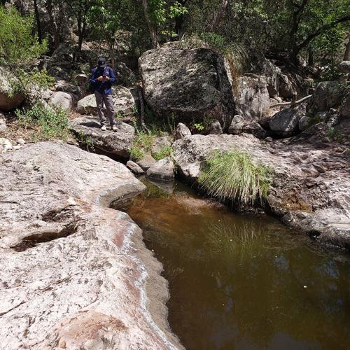 Our First Time Spring Seeking in Sierra San Diego
