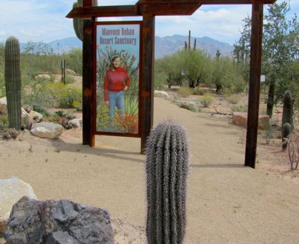 New trails at Arthur Pack Park