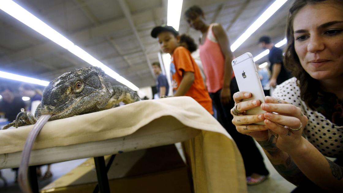 Tucson Reptile Show 2025