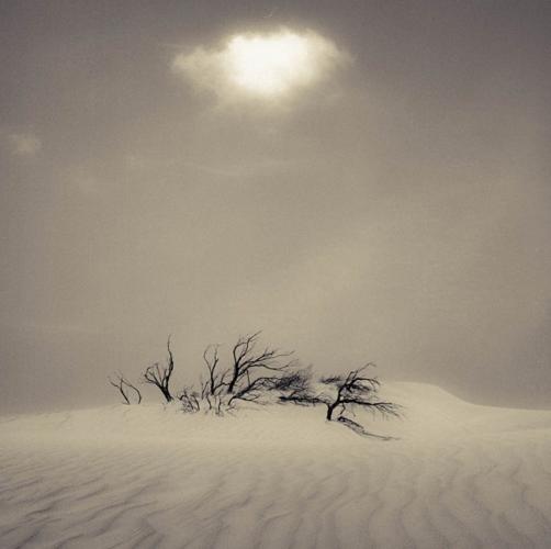 'Slow Light' illuminatesphoto art   