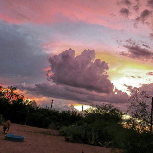 Monsoon photo contest