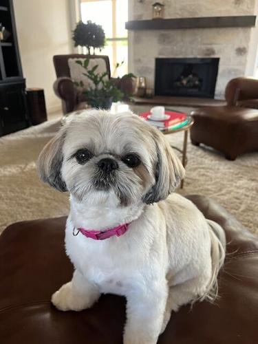 Lily-s-new-digs.jpg