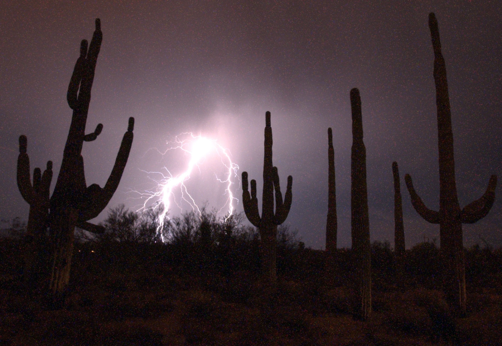 44 Photos Of Intense Tucson Monsoon Storms | Tucson Summer Guide ...