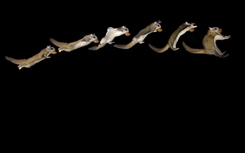 University of Arizona: The Art of Science